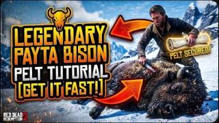 Red Dead Tutorial Finding and Hunting the Legendary Payta Bison