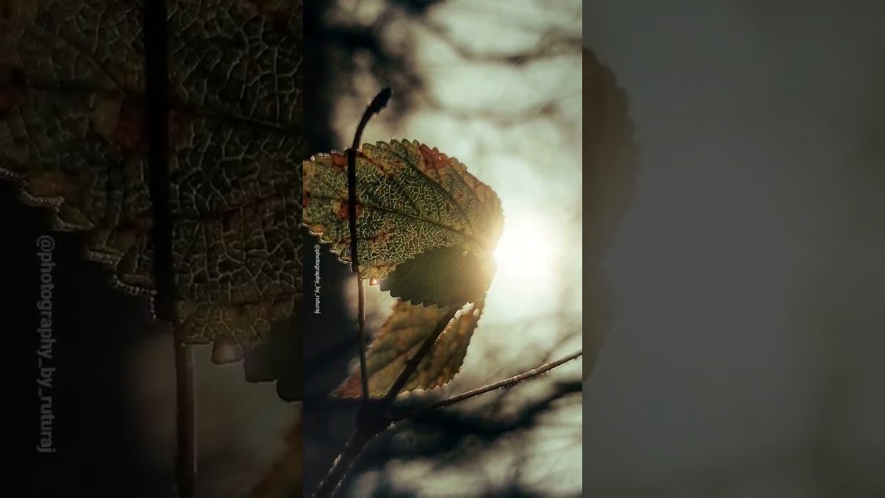 Before After edit | OnePlus 6 |  