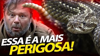 ENCONTRO COM UMA CASCAVEL GIGANTE, A SERPENTE QUE MAIS MATA NO BRASIL! | RICHARD RASMUSSEN