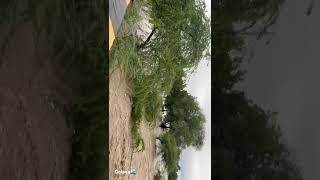 😱😱😱#rain #tranding #modi #baadh #flood #rain #rajasthan #india #food #