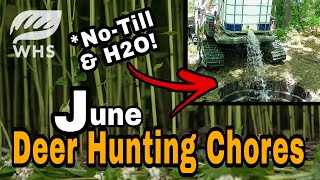 June Deer Hunting Chores