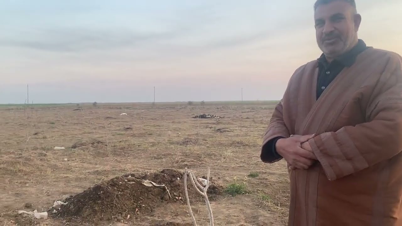 بستان الفستق الحلبي في ناحيةالعلم / تكريت