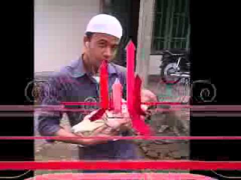 new punk rock jalanan~awan putih