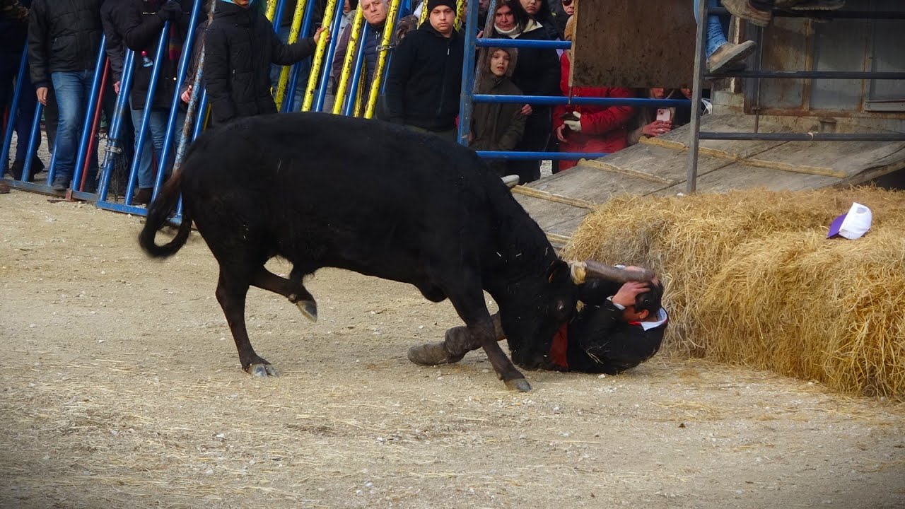 BELLEGARDE COURSE AU PLAN 14/01/24