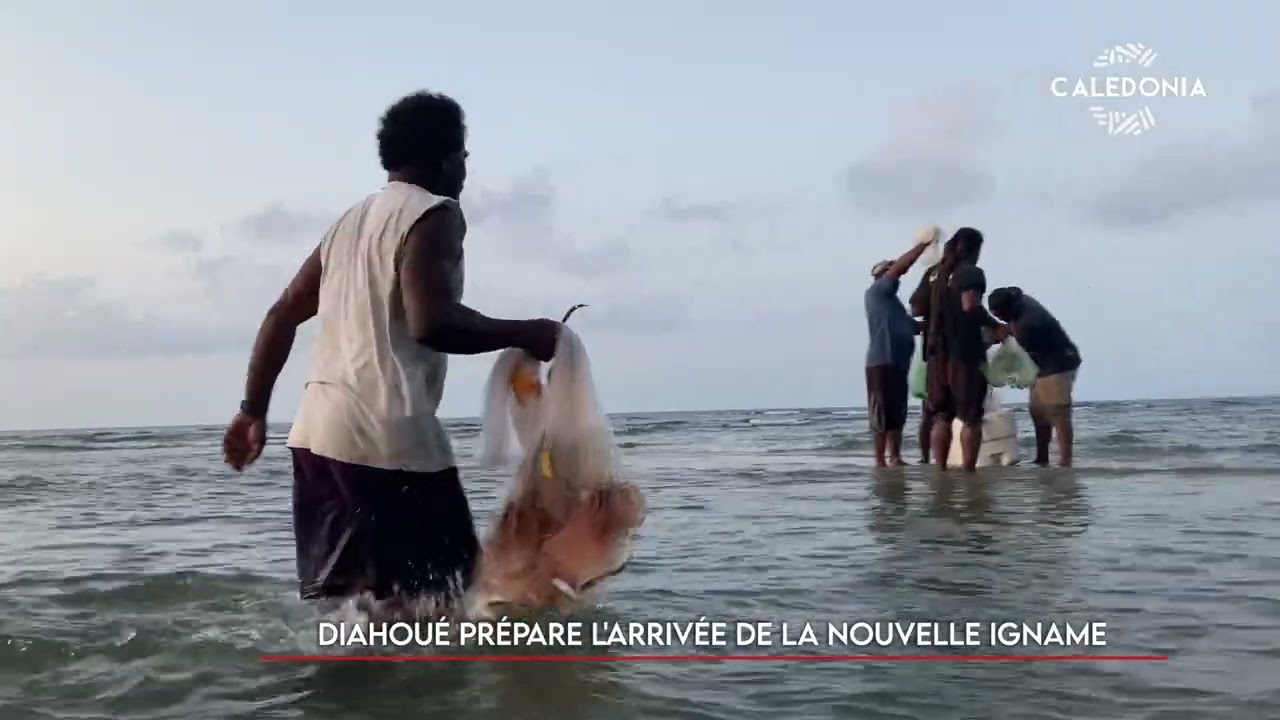 WAGÉÉRI - Diahoué prépare l'arrivée de la nouvelle igname 1/2