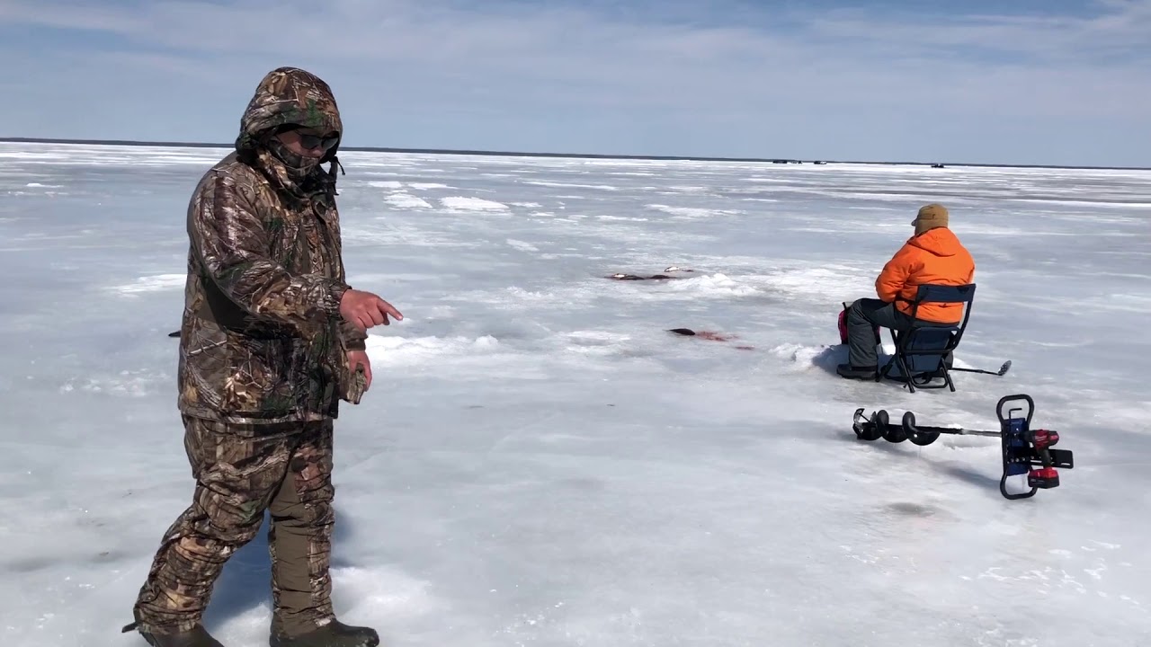 Mille lacs late ice tullibee 3212020 YouTube