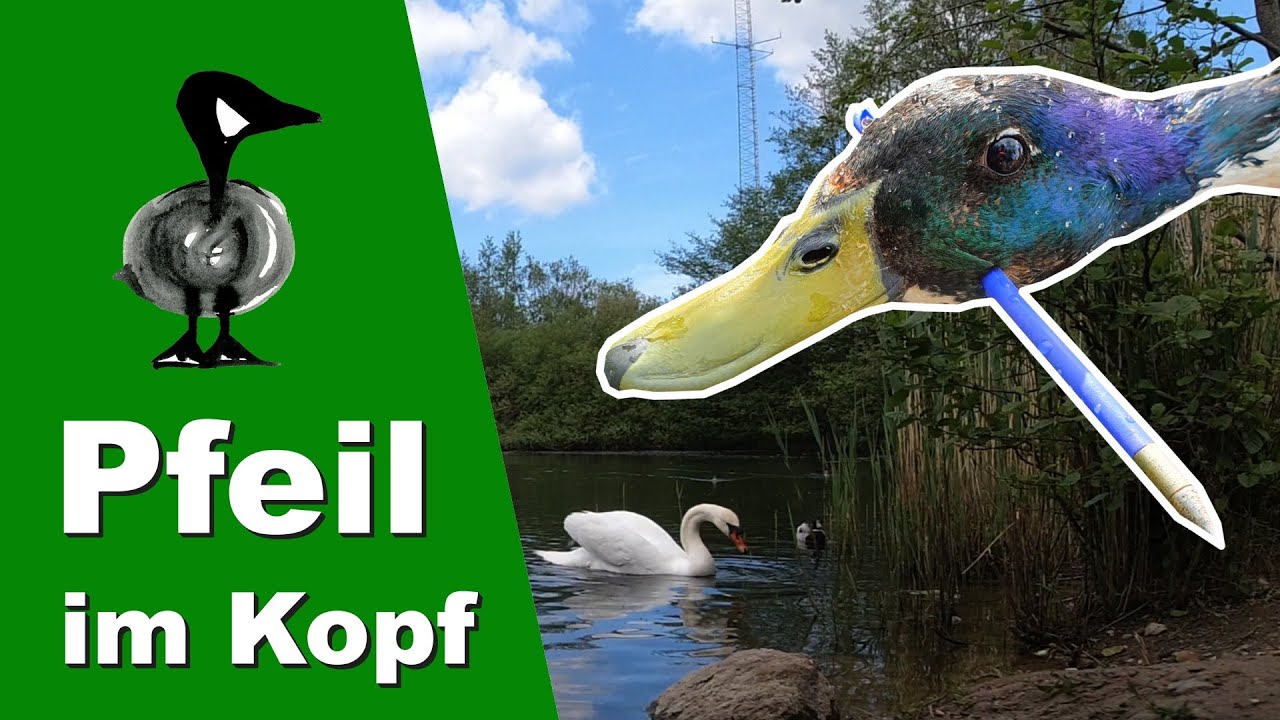 Monatelang mit Pfeil im Kopf - Tiernotruf #259