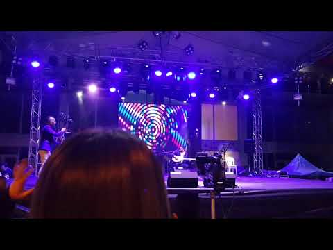 ☆Havva Ögüt☆《ERİK DALI