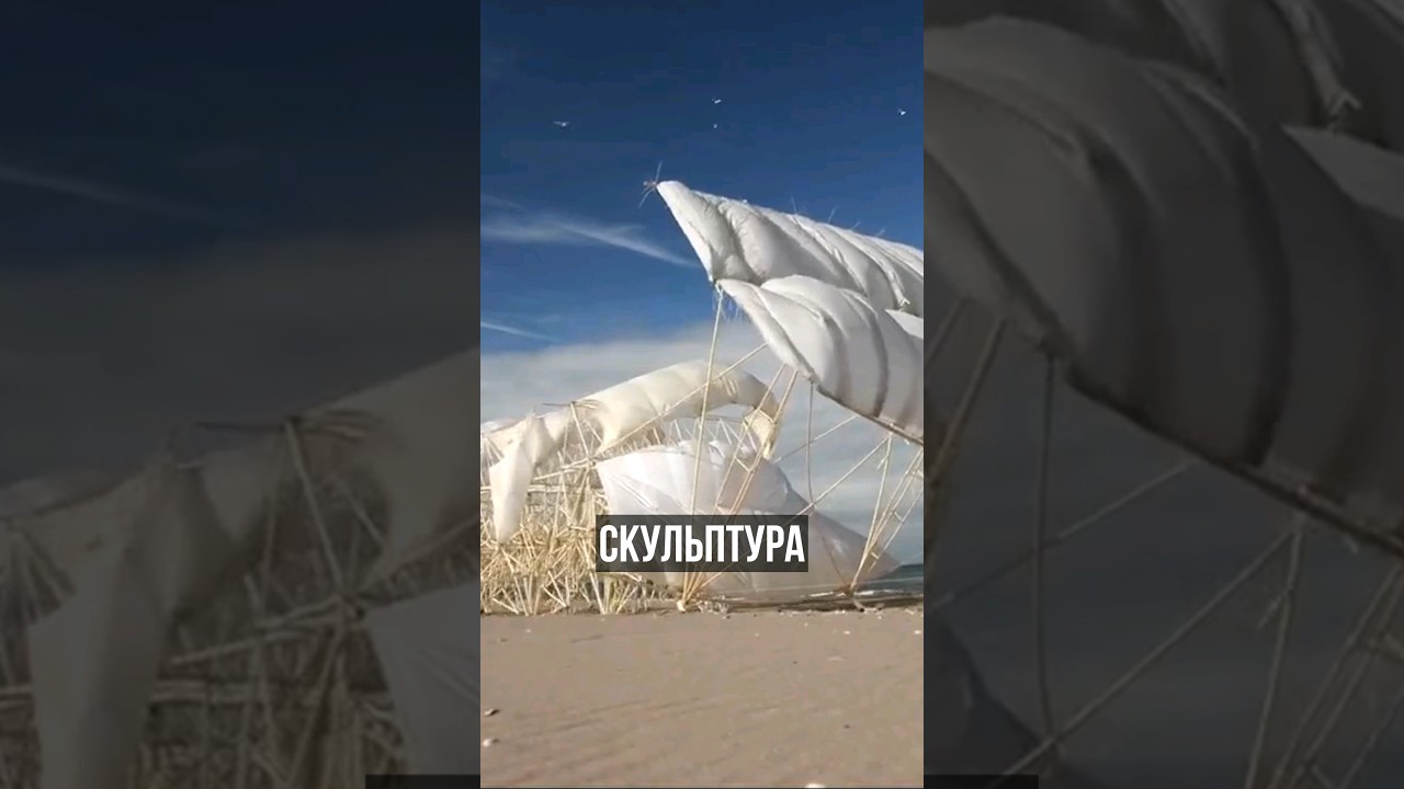 Пляжное животное" - это кинетическая скульптура, созданная голландским художником Тео Янсеном
