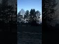 HORNUGGLA 2026-03-17 Hulta