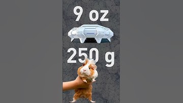 NASA Just Landed an Asteroid Sample on Earth!