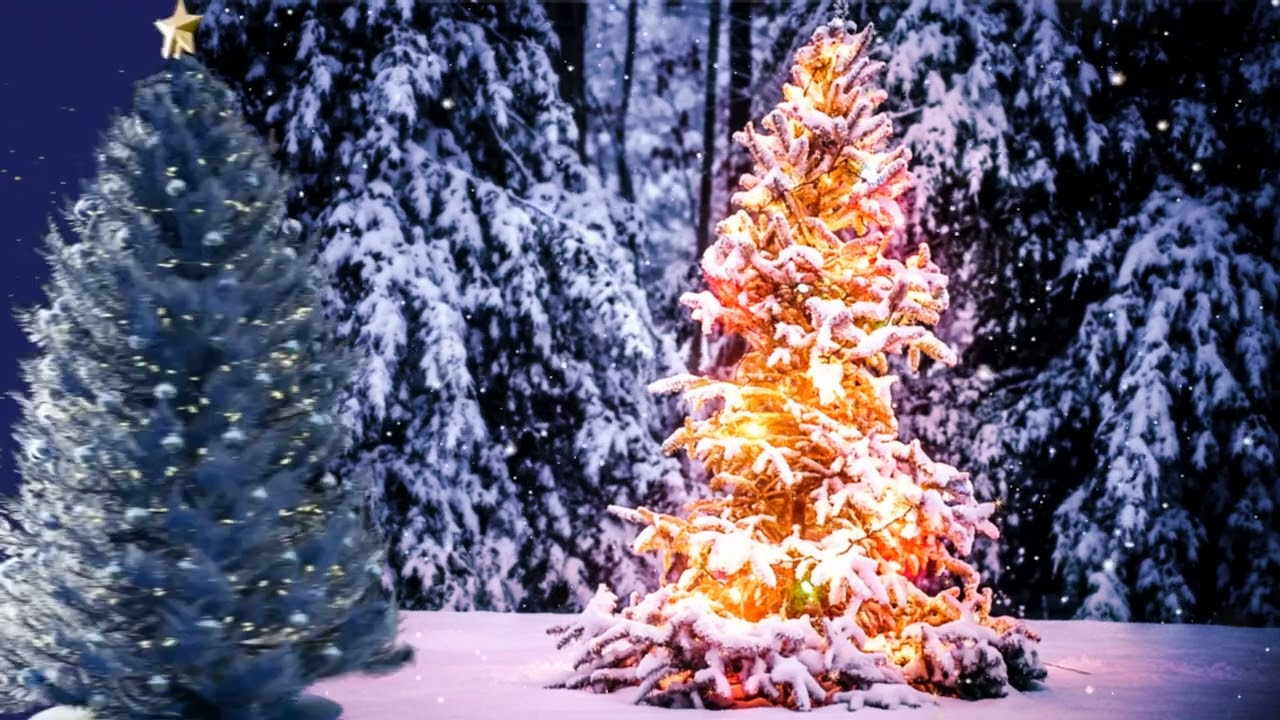 EMN Christmas Countdown 2023 - 18th Dec - RBC Brewin Dolphin