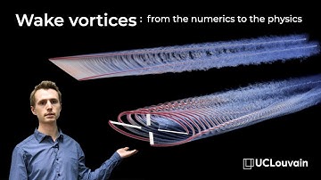 Wake vortices: from the numerics to the physics