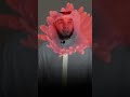أعراض السحر مقطع 2 الشيخ رفيق أمراء mp3