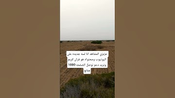 سورة التوبه ماهر المعيقلي #قران_كريم #القرآن_الكريم #quran #القران_ #لايك #duet #explore #اكسبلور #