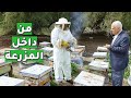 مرب ي نحل يكشف أسرار المهنة من تربية النحل لاستخراج العسل
