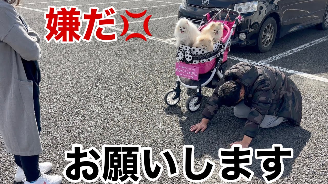 嫁を騙してキャンピングカーを買わせようとしたらこうなりました