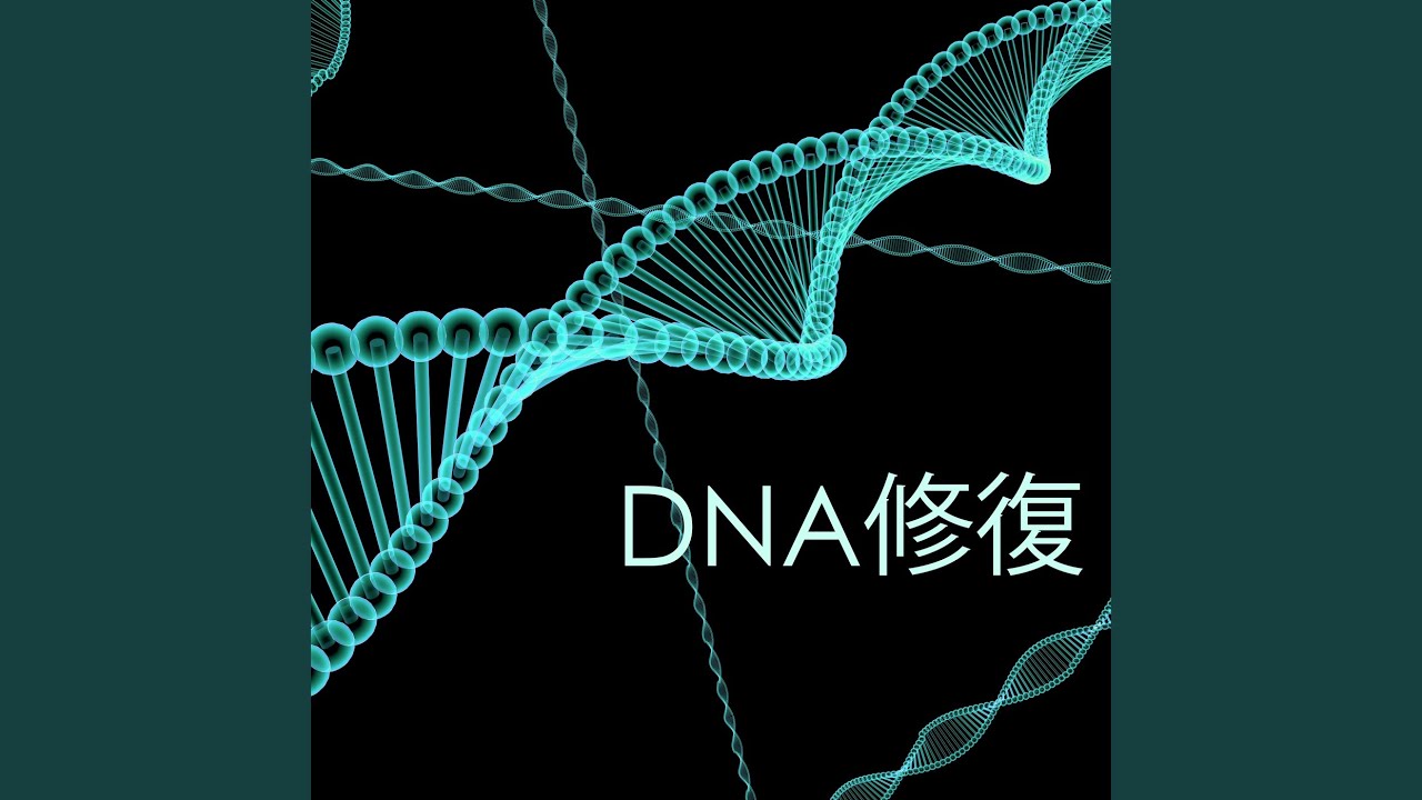 自分を癒す 癒しの音楽 Maestro Shazam