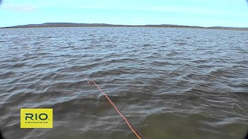 RIO Double Tapered Line