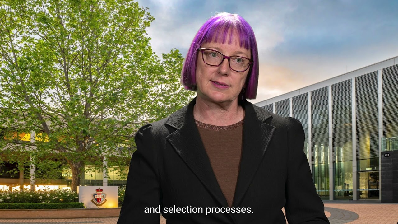 Associate Professor Sue Williamson - 2024 School of Business Research Showcase pitch