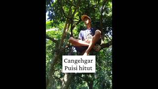 Download Lagu @cangehgar #cangehgar #bodoransundalucu Download Lagu @cangehgar #cangehgar #bodoransundalucu