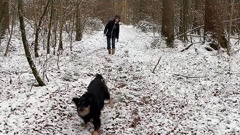 Mùa đông ập đến, tuyết rơi trắng rừng. Miền quê nước Đức