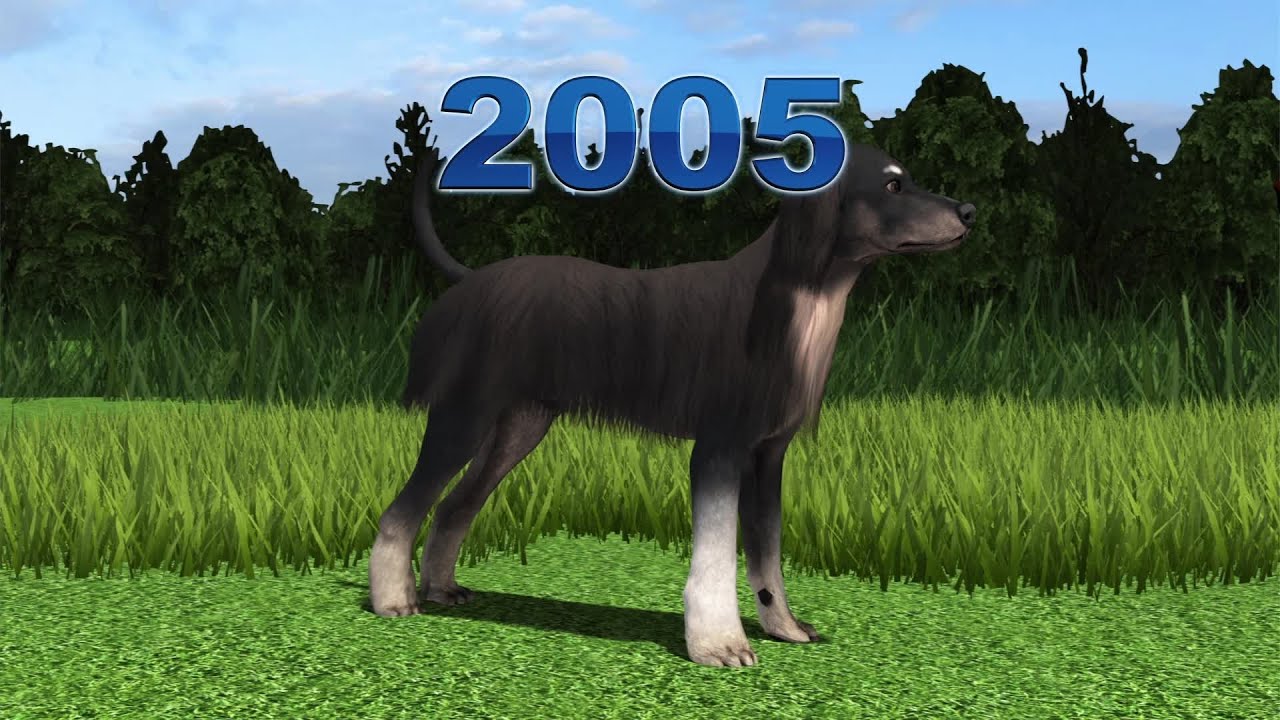 World's first cloned dog has been cloned again YouTube