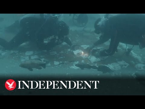 Moment divers find Challenger shuttle wreckage 37-years after Nasa tragedy