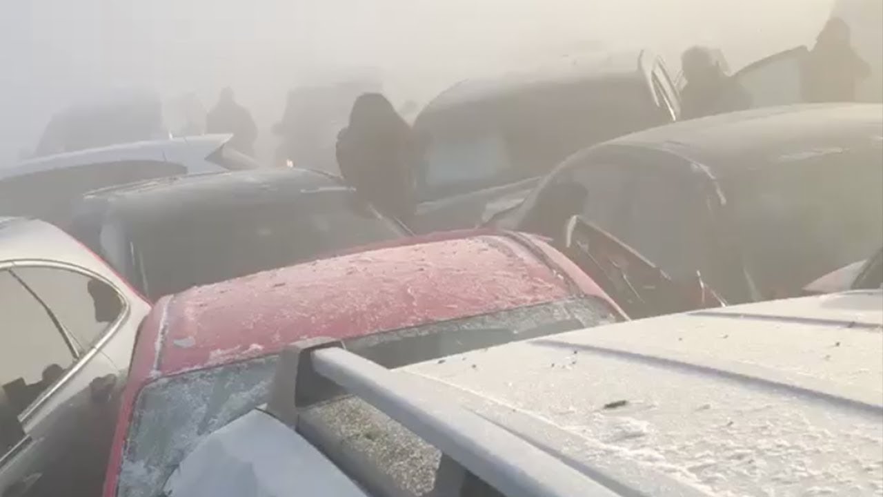 springboard Scary: Visual inside massive Calgary 50-car pileup on February 9th
