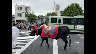 [4K🇯🇵] Aoi Matsuri 葵祭 Hollyhock Festival-part4