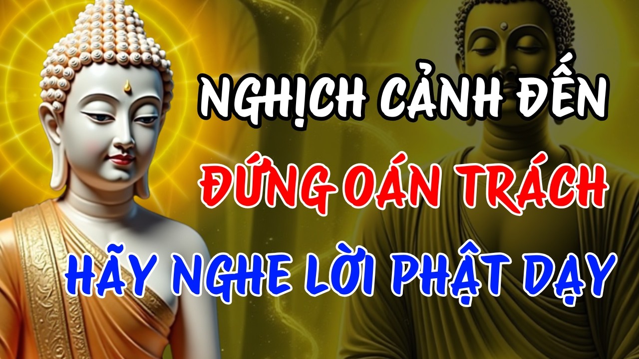 Phật Dạy: Khi Nghịch Cảnh Đến Đừng Hỏi Vì Sao Là Tôi – Hãy Hỏi Tôi Học Được Gì