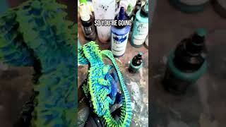Swamp Basilisk #dungeonsanddragons #paintingminiatures  #painting #miniature
