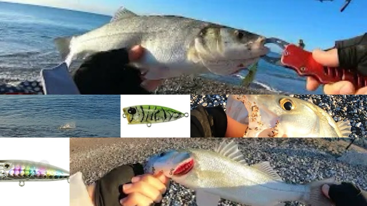 LEVREKLERİN MİNİ POPPERLA SINAVI. POPPER KAZANDI🔥🔥(ловля морского окуня)MUTLU,BOL BALIKLI YILLAR🎄