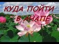 КУДА ПОЙТИ В АНАПЕ / Экскурсии и достопримечательности Анапы