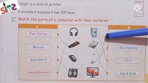 Class-2/Excercises of Chapter-3/Computer/By Hinnu Gulati.