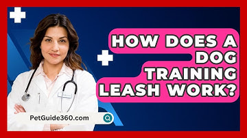 How Does A Dog Training Leash Work? - PetGuide360.com