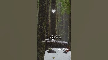 (و من يتق الله يجعل له مخرجا) #القارئ #سعد_الغامدي #قرآن #اكسبلور