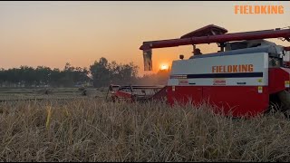 Fieldking Multi Crop Harvester - Best Combine Harvester In India