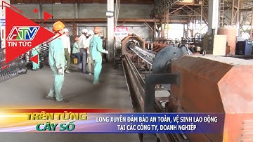 Long Xuyên đảm bảo an toàn vệ sinh lao động tại các công ty, doanh nghiệp | ATV Tin tức