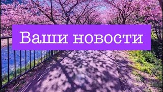 Подъемля торжественно стих стокоперстый,клянусь -люблю неизменно и верно!🌷🕊️🔥