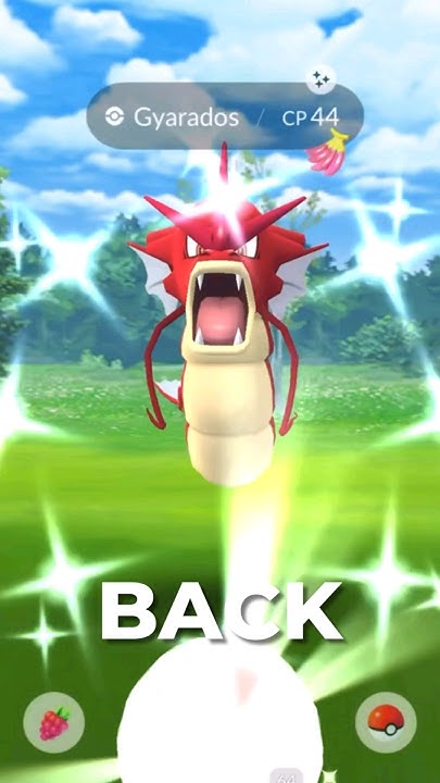 Top Counters for MEGA GYARADOS! - YouTube