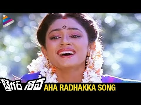 Tiger Shiva Movie Songs | Aha Radhakka Song | Rajnikanth | Shobana | Ilayaraja