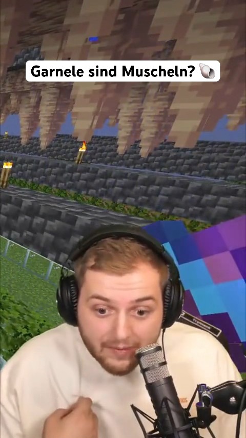 Garnelen sind Muscheln? 🐚 #trymacs #rewi #funny #lustig - YouTube