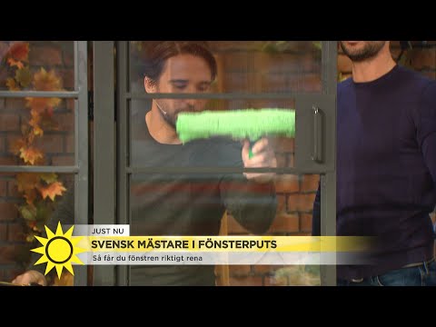 Video: Fönsterskrapor: Med Rengöringsblad Och Teleskophandtag, För Tonat Glas, Professionellt Och Allmänt