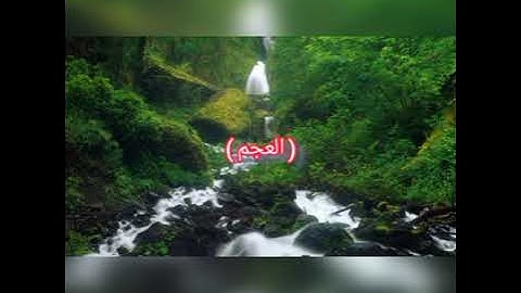 تلاوة لما تيسر من سورة الانسان مقام العجم