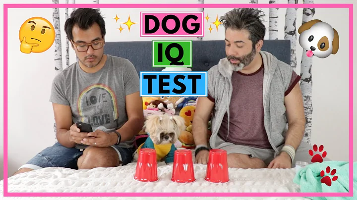 DOG IQ TEST | Dog Intelligence Test | Testing My Dog's Intelligence