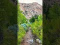 Sheep Creek Sheep Creek
