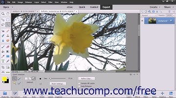 Photoshop Elements 15 Tutorial Creating Brush Tips from Selections Adobe Training