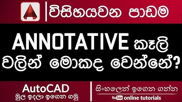 Autodesk Revit Beginner Course (Sinhala) - Part 26- Annotative Objects Part 1