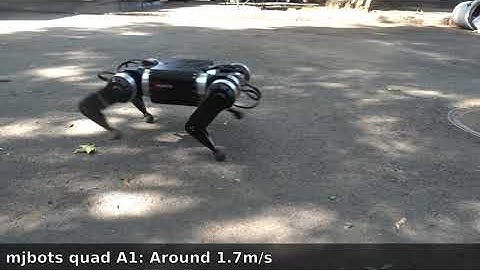 First attempt at some higher speed walking with quadruped robot
